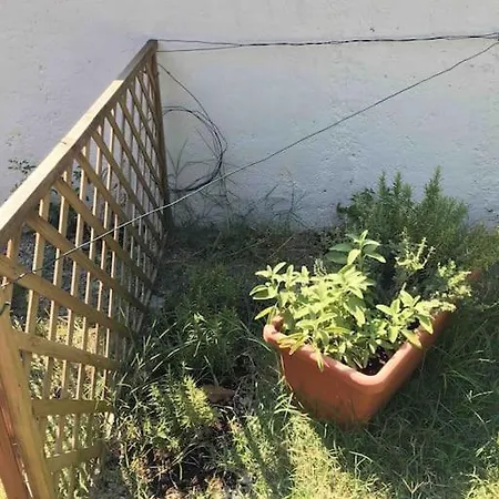 Andora, Indipendente, Ammessi Animali, Entrata E Giardino Dehor Privato, Luogo Rigenerante ,solarium,pace E Relax,parcheggio Privato Gratuito Лайгуэлья