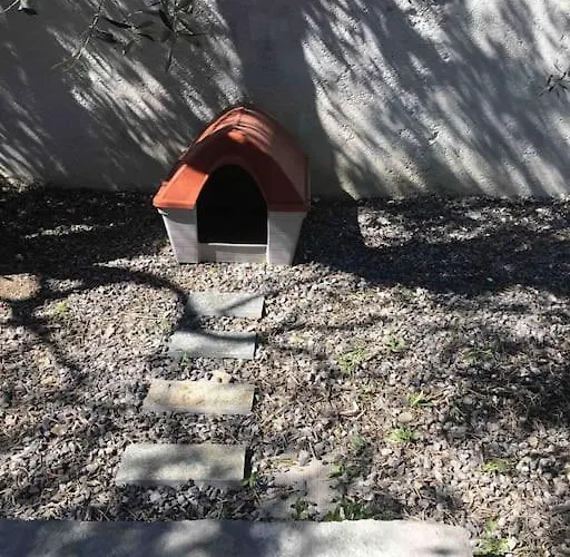 Lejlighed Andora, Indipendente, Ammessi Animali, Entrata E Giardino Dehor Privato, Luogo Rigenerante ,solarium,pace E Relax,parcheggio Privato Gratuito