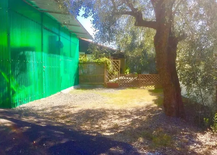 Andora, Indipendente, Ammessi Animali, Entrata E Giardino Dehor Privato, Luogo Rigenerante ,solarium,pace E Relax,parcheggio Privato Gratuito Lejlighed Laigueglia